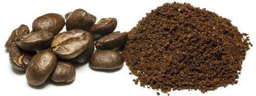 fondo caffe come fertilizzante
